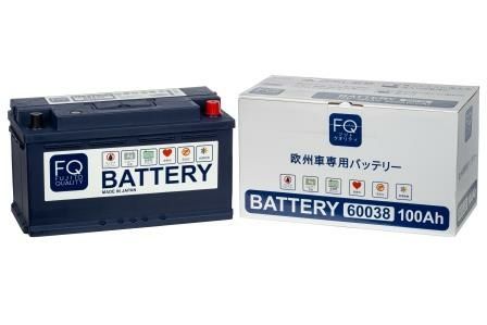 Аккумуляторная батарея FQ 60038 100 А/ч 